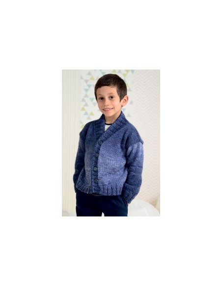 MERINO PLUS 100GR COL 453 MONDIAL