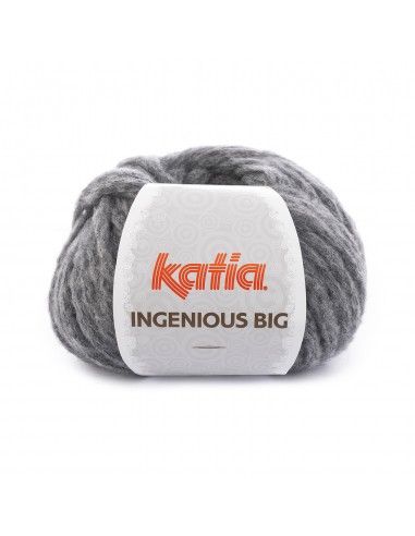 INGENIOUS BIG 100GR COL 81 KATIA